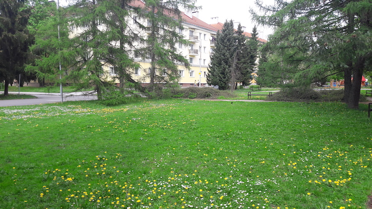Harmonogram kosenia v 18. týždni 2019